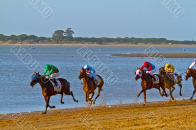 Horse race on Sanlucar of Barrameda, Spain, August  2011