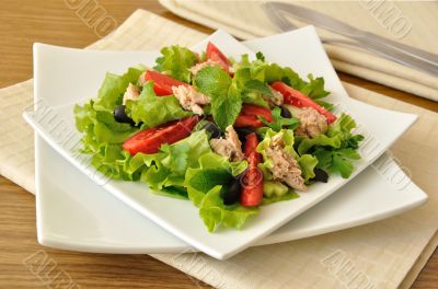 Salad with tuna, vegetables and mint
