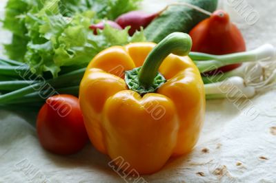 Vegetables for salad