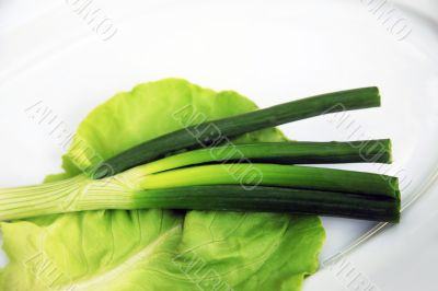 Green onion