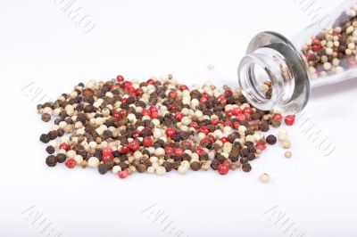 mixed pepper mixed pepper