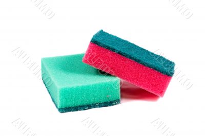 sponges
