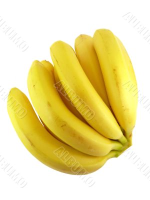 Delicious bananas isolated on white background 