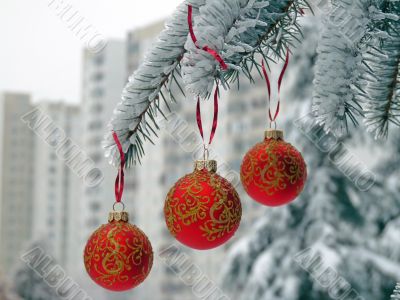 Christmas balls on the snow-covered spruce