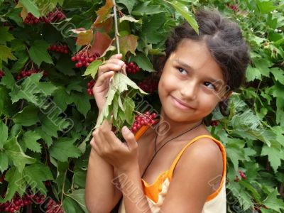 The girl standing beside a red viburnum The girl standing beside a red viburnum