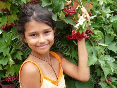 The girl standing beside a red viburnum