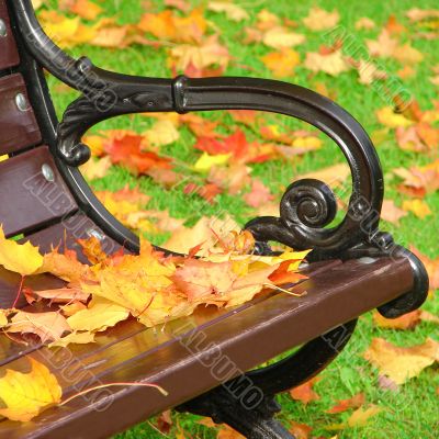 Park bench in autumn Park bench in autumn