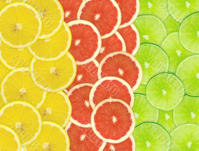 Abstract background of citrus slices. Closeup. Studio photograph