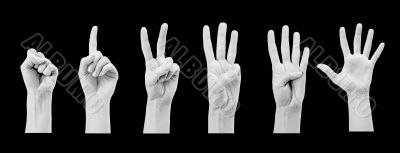 Counting woman hands (0 to 5) isolated on white background