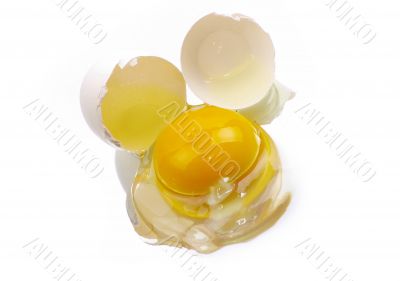 egg egg
