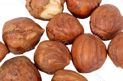 Hazelnuts Isolated on White Background Hazelnuts Isolated on White Background