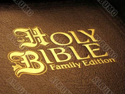 Holy Bible Family Edition