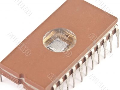 Isolated brown microchip Isolated brown microchip