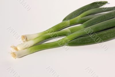 Onion Onion