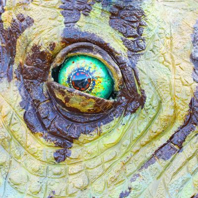 Triceratops dinosaur eye