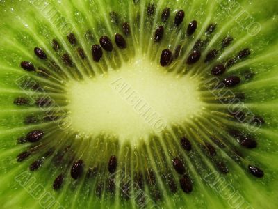a cut of a kiwi