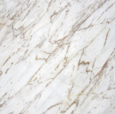 Calacata marble texture