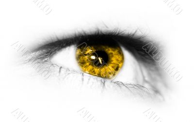 yellow Iris