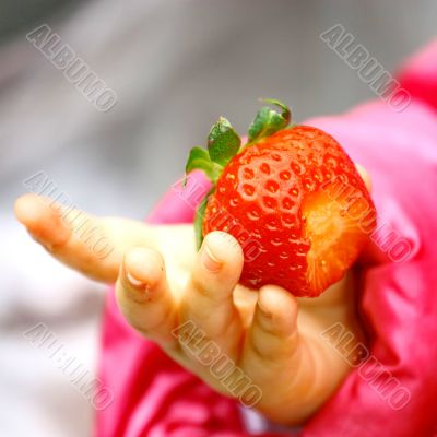  Child Tasting Strawberry Fruit