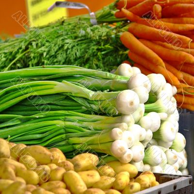  Selection of summer seasonal organic vegetables 