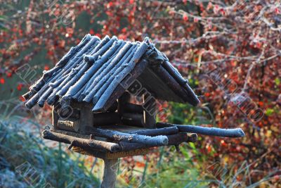 bird house