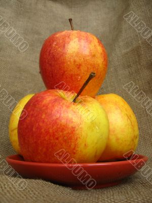 apples on the brown background