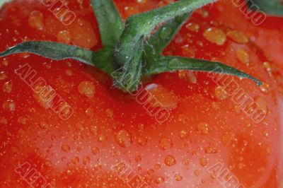 Tomato with Drops