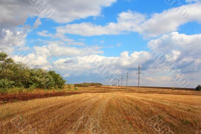 Summer landscape with field and sky