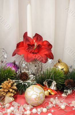 Christmas Arrangement