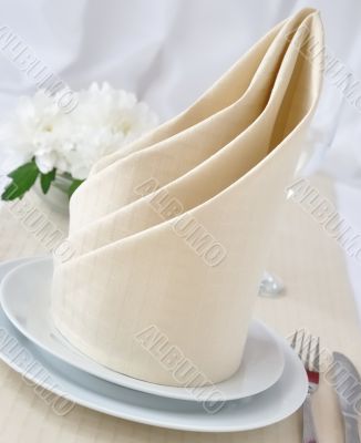 Napkin `Twisted Tent`