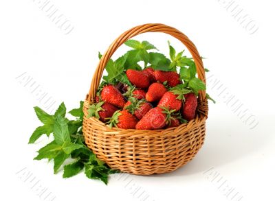 Strawberries in basket Strawberries in basket