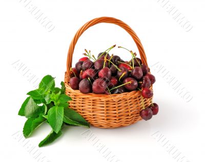 Basket with fresh cherries and mint Basket with fresh cherries and mint