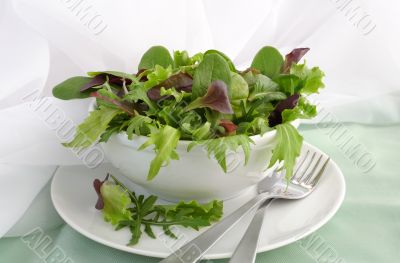 Mix of different varieties of lettuce Mix of different varieties of lettuce