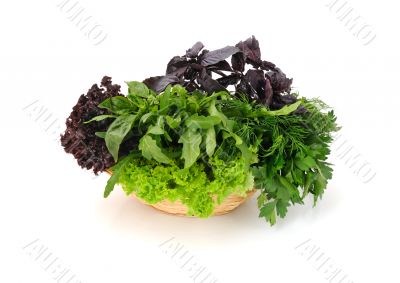 Basket with fresh herbs: basil, lettuce, parsley and arugula