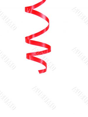 Serpentine closeup on white background Serpentine closeup on white background