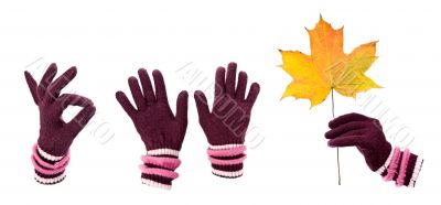 A collage of warm gloves with autumn maple leaf