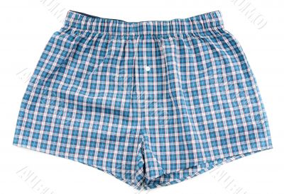 Men`s plaid shorts