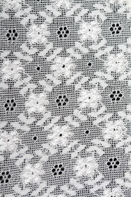 Background of white lace