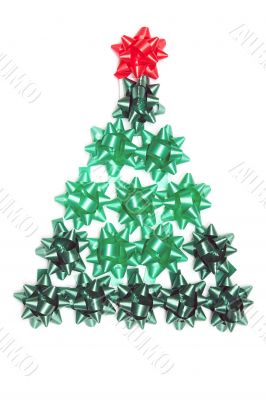 Spruce from green gift ribbon