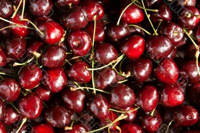 background of black cherry