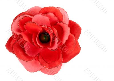 red flower from tissue