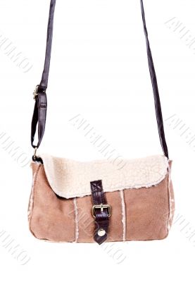 brown bag with fashionable women`s fur
