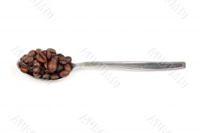 spoon with coffee beans