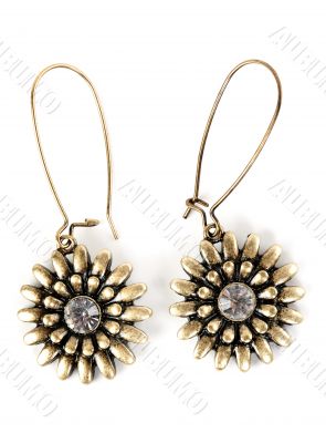 a pair of women`s earrings with precious stone