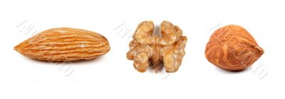 collage of the three nuts