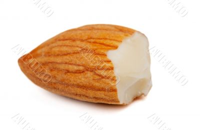 half of fresh almonds