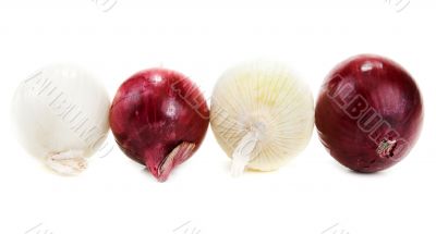 Light and blue onion lies