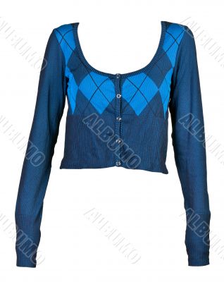 women`s blue plaid blouse pattern