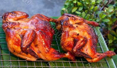 two delicious grilled chicken