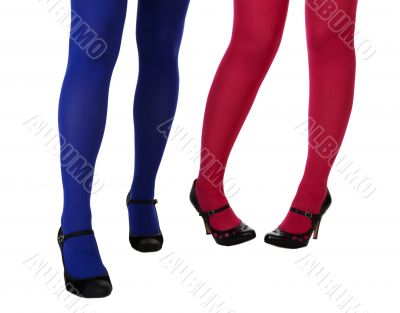 female legs in pantyhose